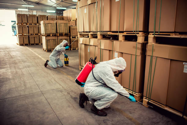 Best Residential Pest Control  in Ledbetter, KY