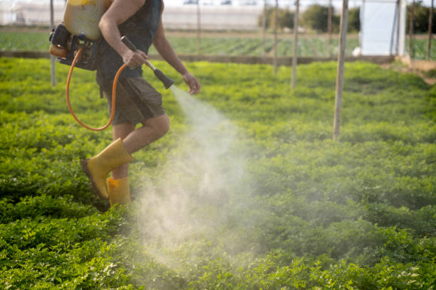 Best Wasp Removal Services  in Ledbetter, KY