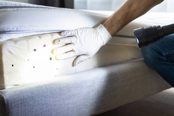 Best Pest Inspection Near Me  in Ledbetter, KY