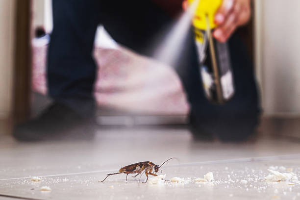  Ledbetter, KY Pest Control Pros