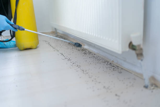 Best Residential Pest Control  in Ledbetter, KY
